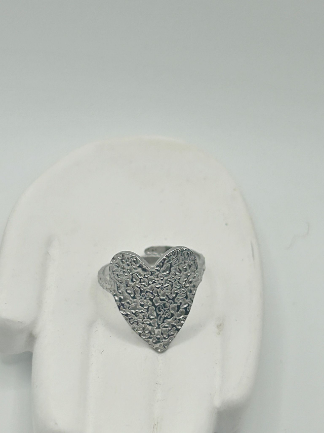 Stainless Steel Ring (SSR15J)