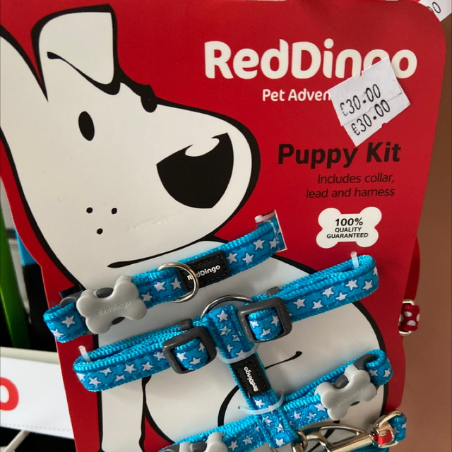 RedDingo Puppy Kit