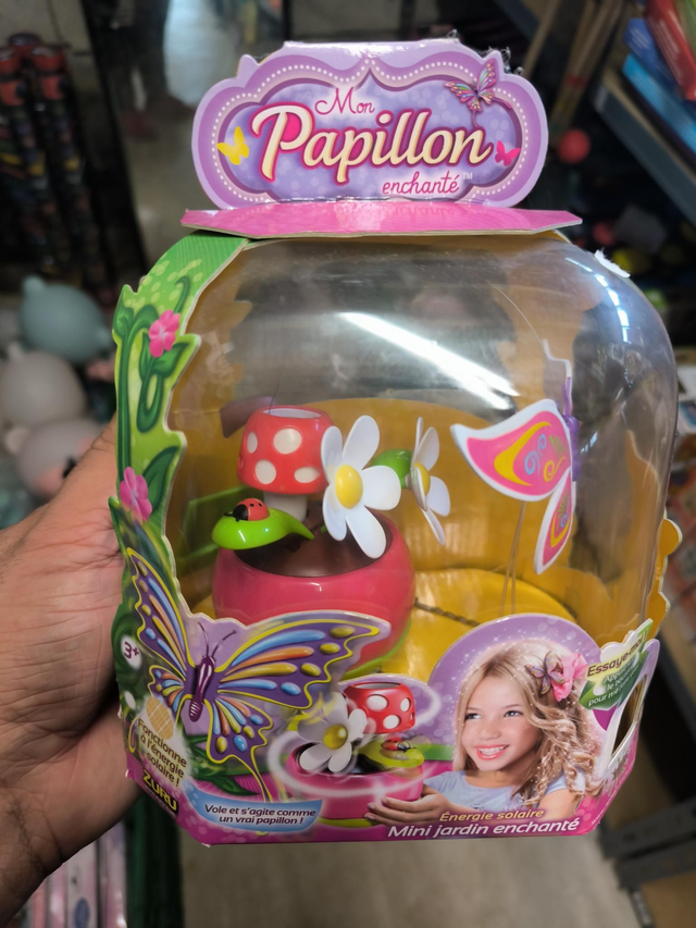 MON PAPILLON ENCHANTÉ 