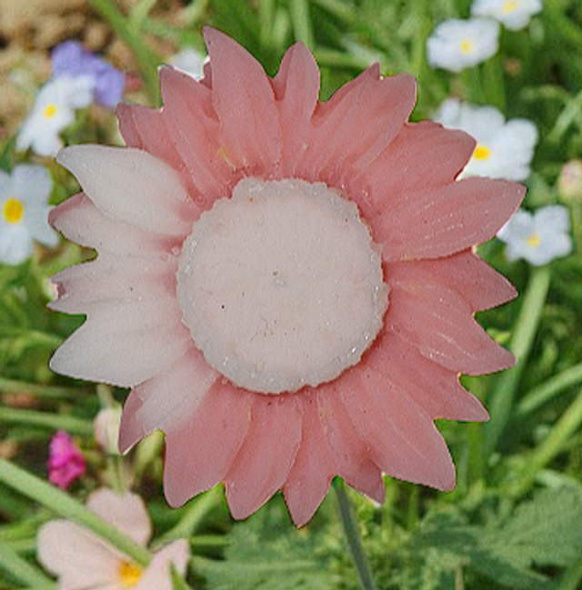 Fondant parfumé "Mandarine"