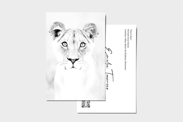 Carte postale "Face à face"