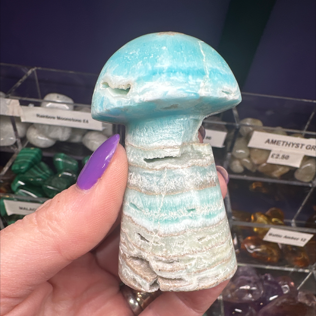 Blue Aragonite Toadstool 