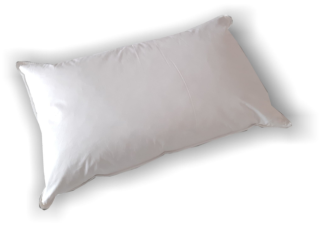 Guanciale  Sanitario  FIBRA ANTIACARO