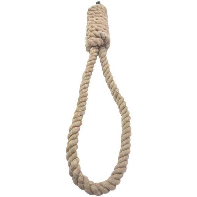 THE NOOSE - Novel Award Entry Fee