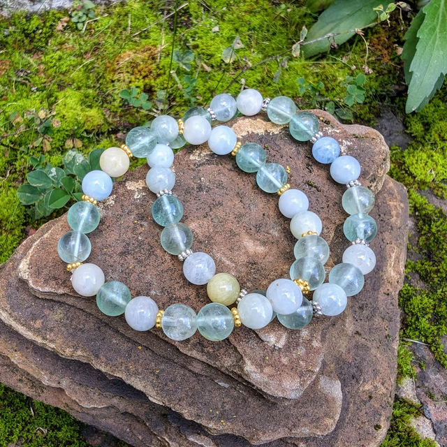 Boost Système Immunitaire 