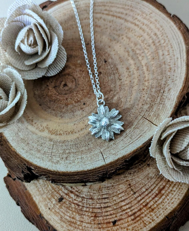 Daisy flower 