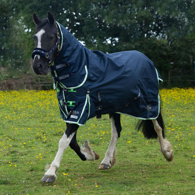 Gallop Trojan Duraproof Lightweight Turnout Combo