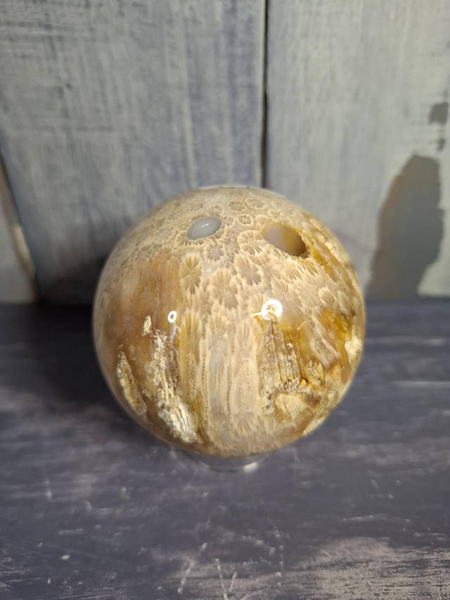 Fossil Coral Sphere 