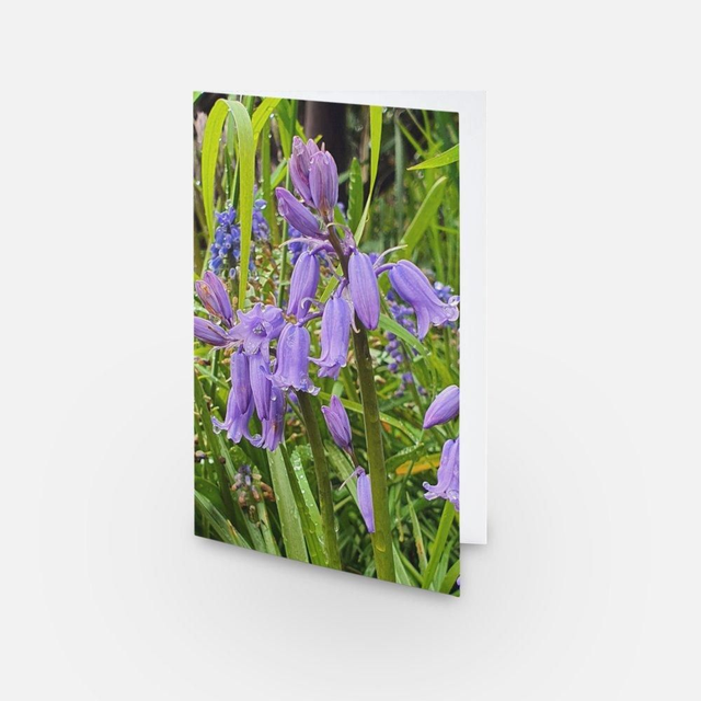 Bluebells flower Spring greeting card 