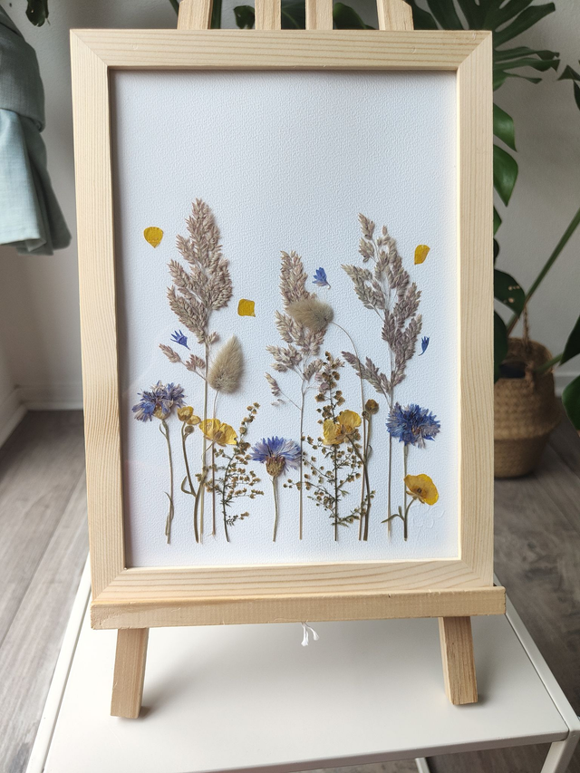 Herbier de fleurs pressées