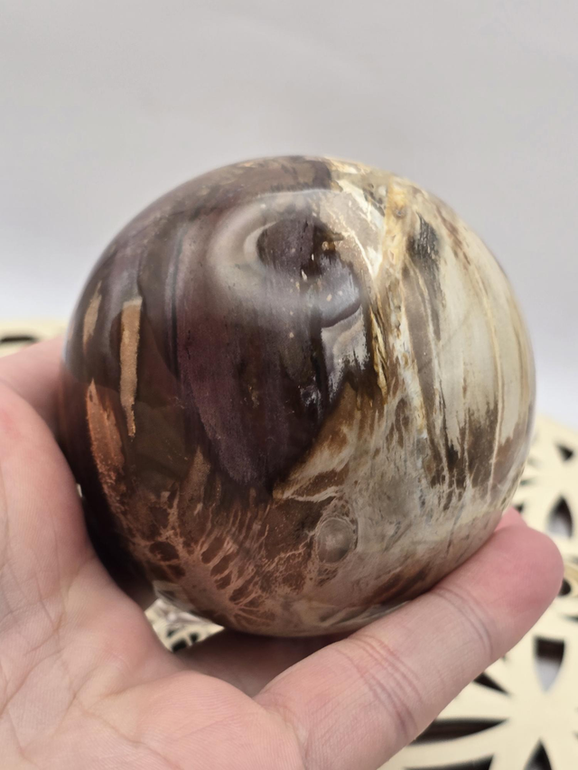 Bois fossilisé forme sphère