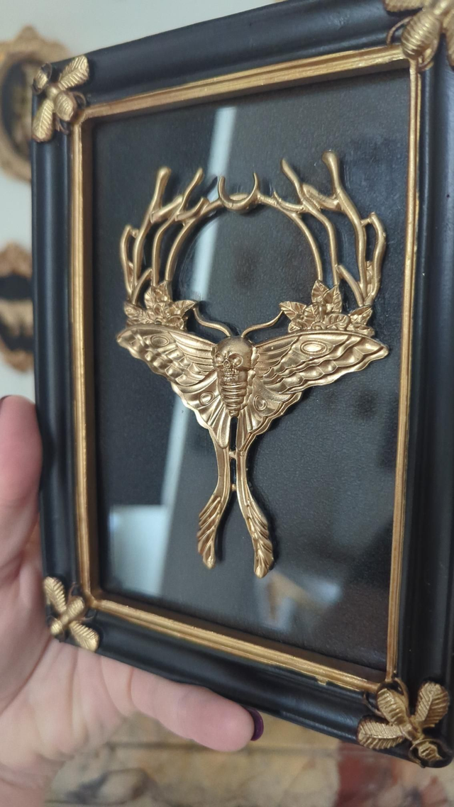 Cadre rectangulaire noir et doré - papillon de nuit tête de mort