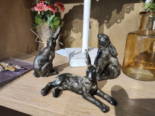Small Hares 