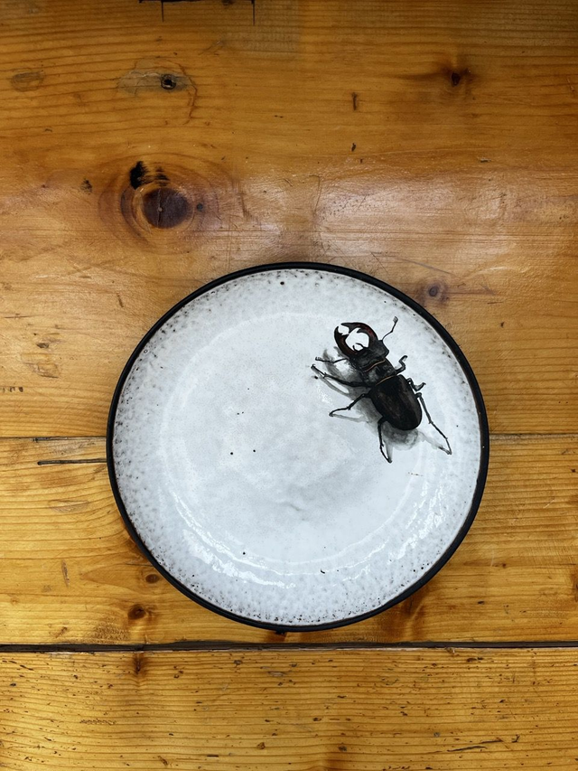 Teller 23cm Hirschkäfer (MSM)