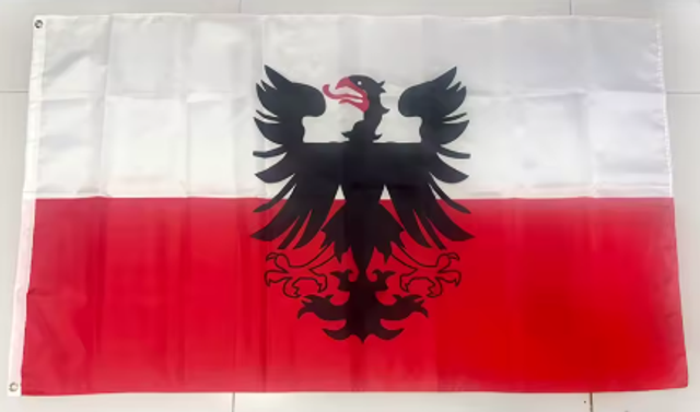 Grote vlag Deventer (150x90cm)