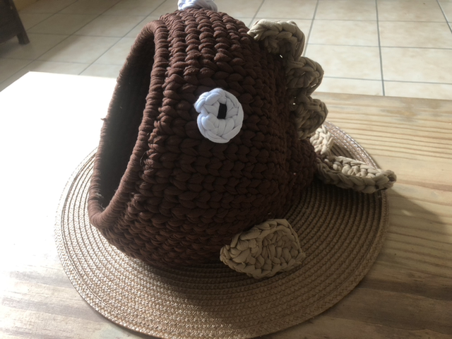Igloo poisson 