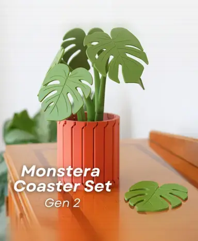 Monstera Coaster 2