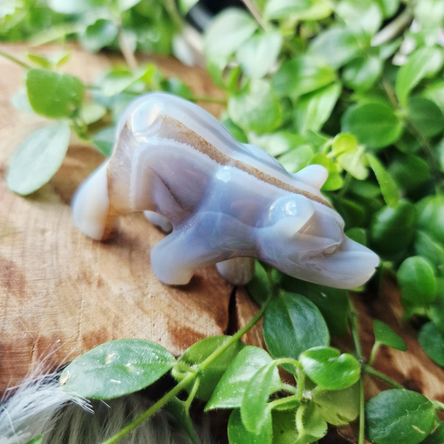 Agate Small Bear 