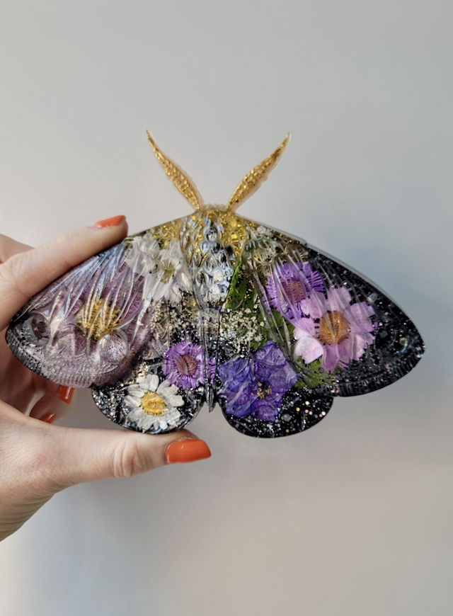 Moth Wall Hanging - Black and Gold, Pink and Purple Real Dried Flowers