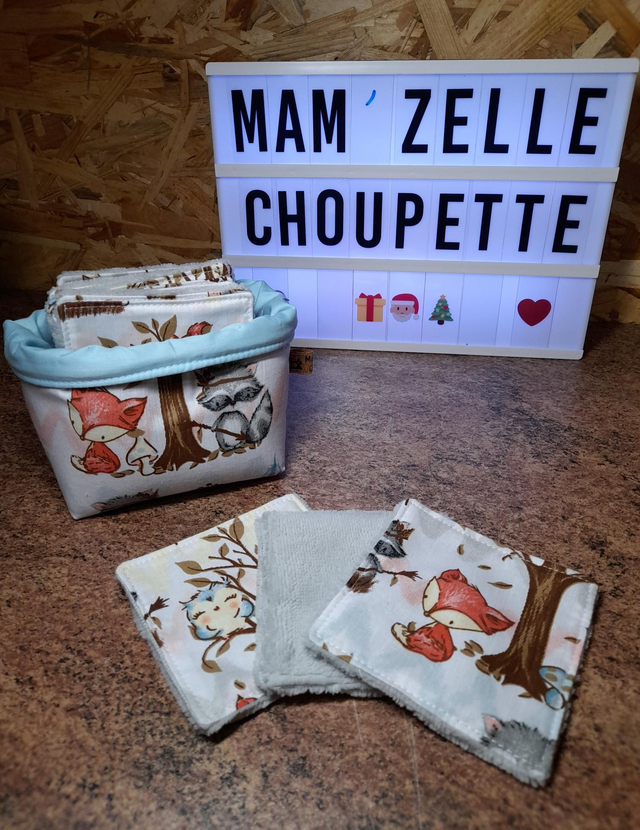 Lot de 12 lingettes avec panière assortie 