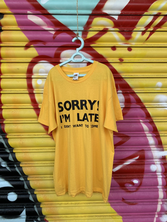 Sorry I'm late i didn't want to come t shirt 
