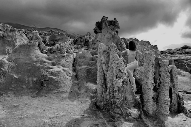 "Bäume aus Stein" (1/5)