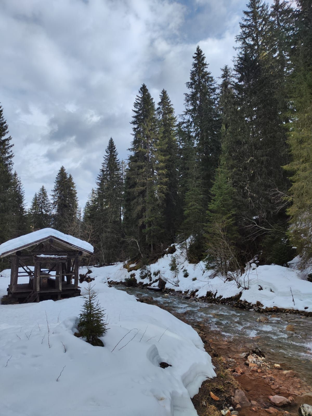 Weekend chalet octobre 2024