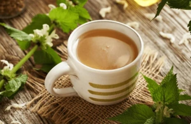 Nettle Loose Tea