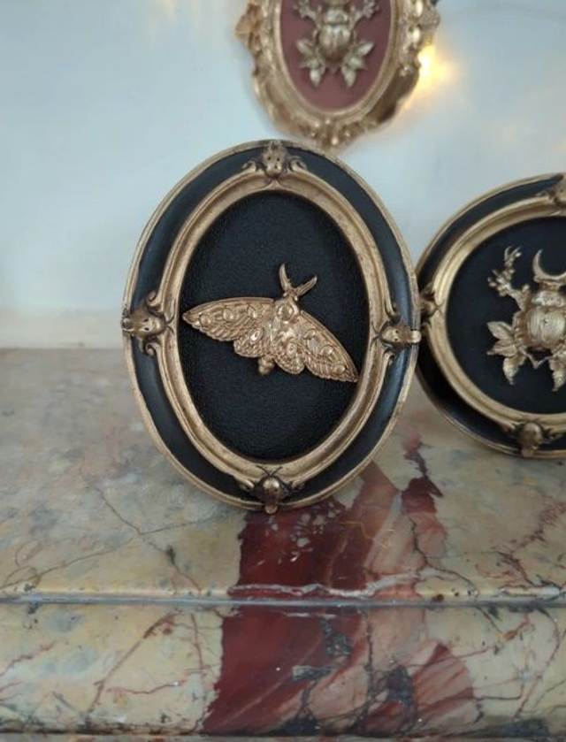 Cadre baroque noir et doré papillon de nuit