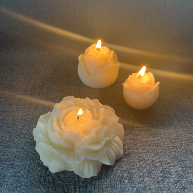 Trio de fleurs blanches 