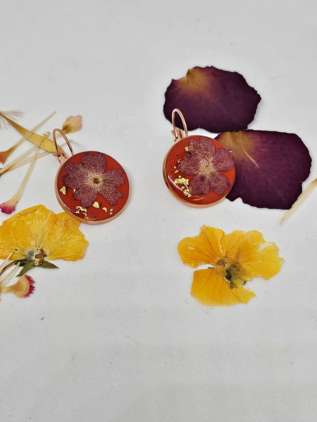 Boucles d&#039;oreilles