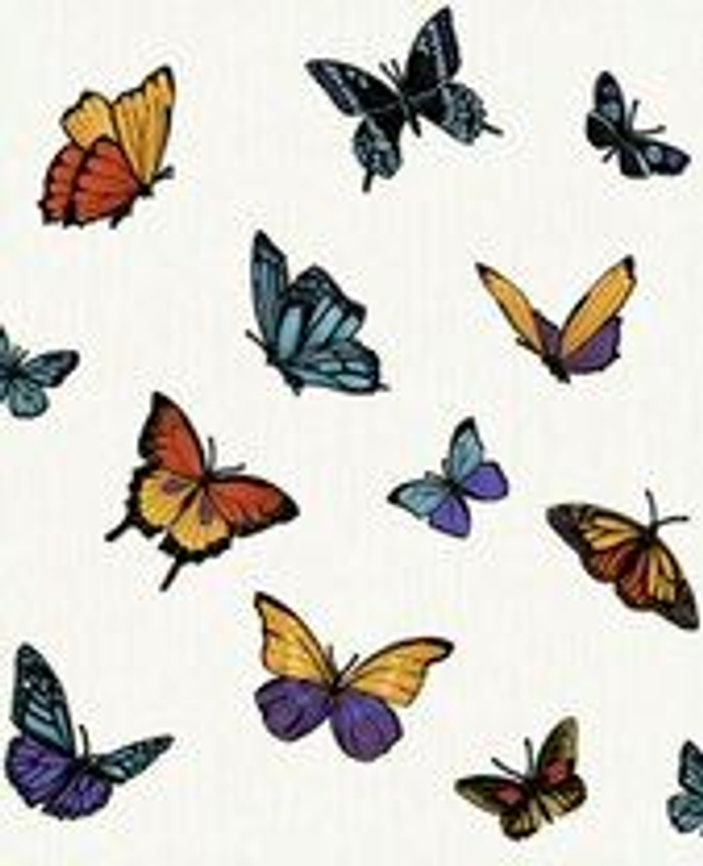 Flutterby Pearl - Julilen Macdonald