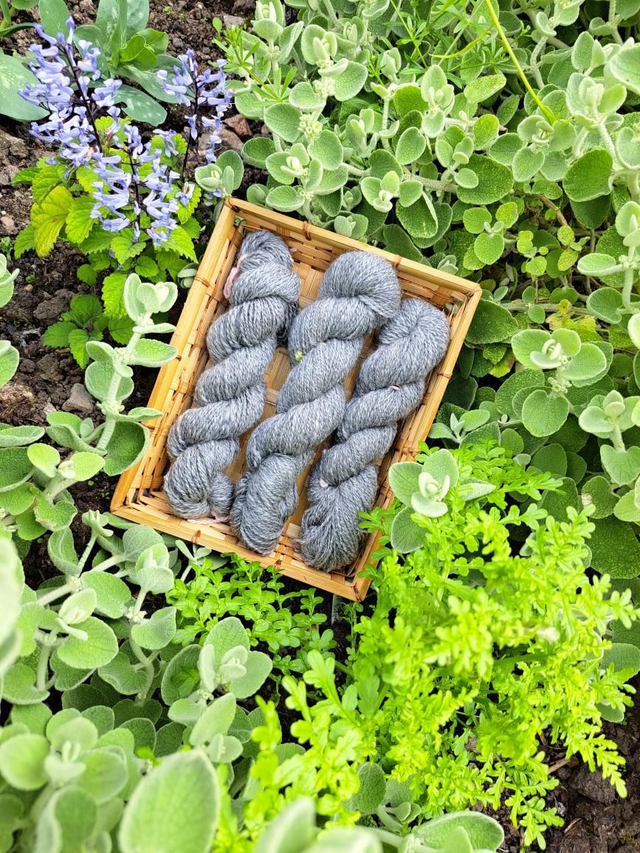 Handspun Corridale