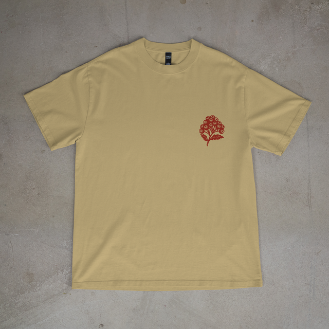 Rowan (Mountain Ash) tree