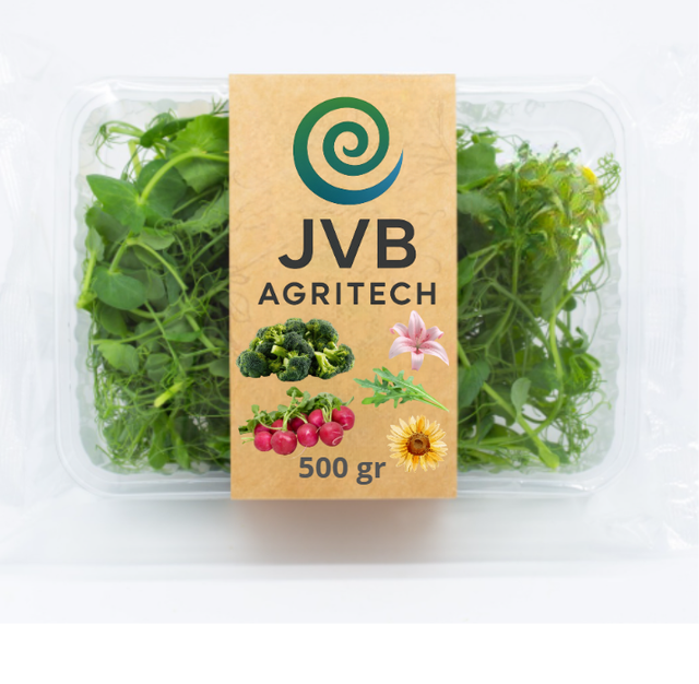 Microgreens JVB
