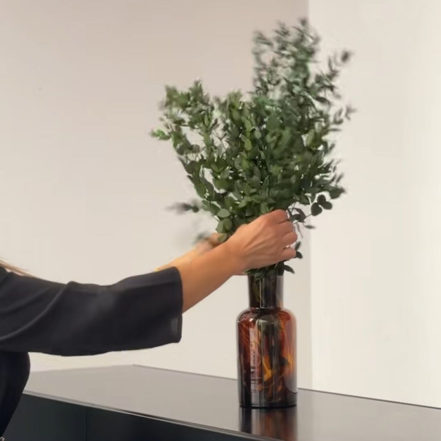 010 Eucalipto PRESERVADO Parvifolia verde. Paquete