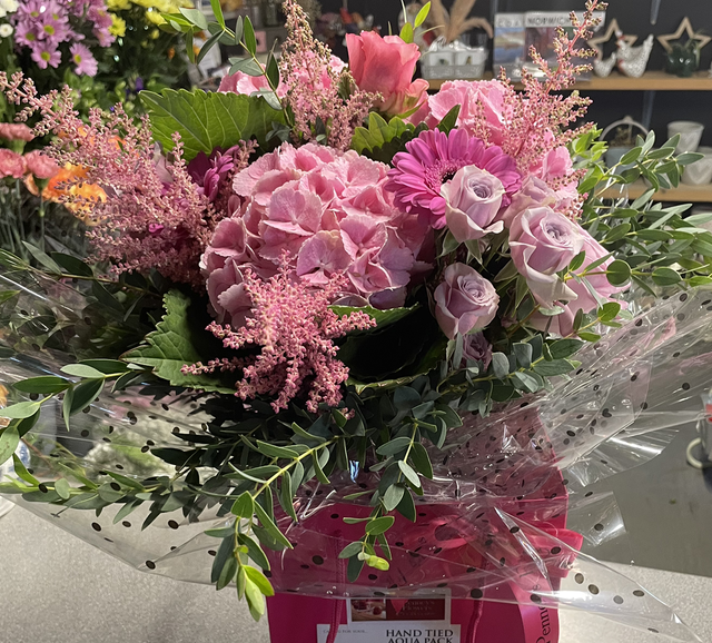 Pink medium hydrangea,rose and grebra aqua pack 