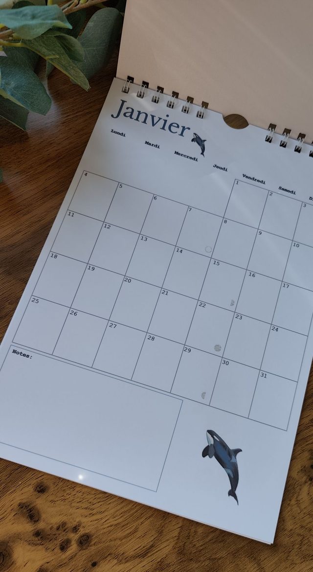 Calendrier 2027