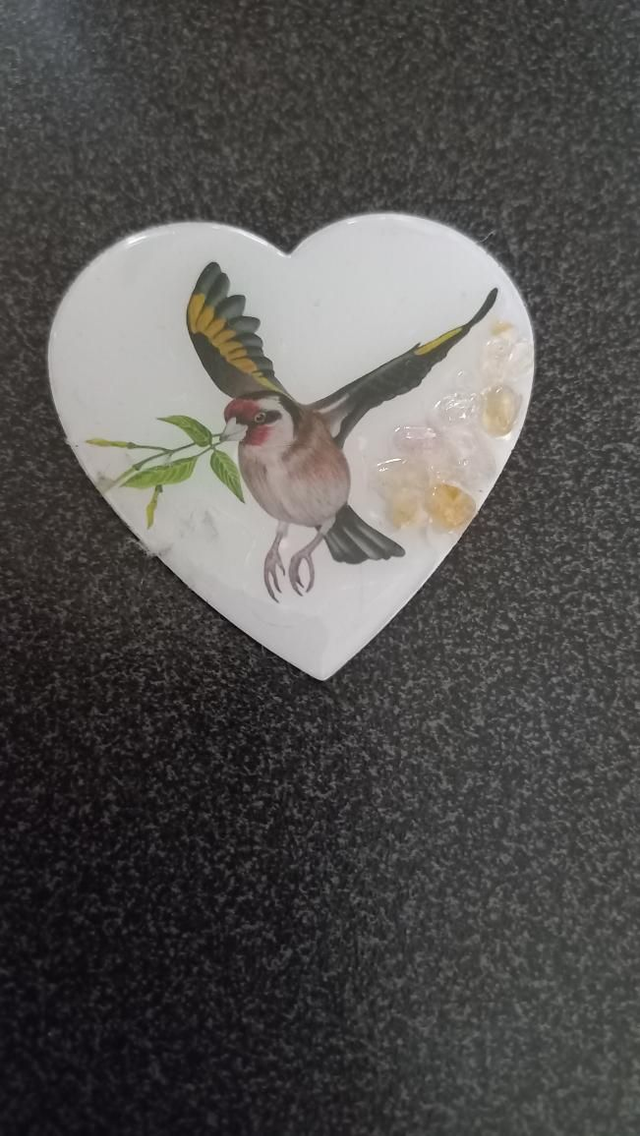 Magnet oiseau 