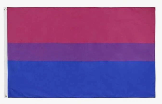 Bisexual Flag 3ft x 5ft