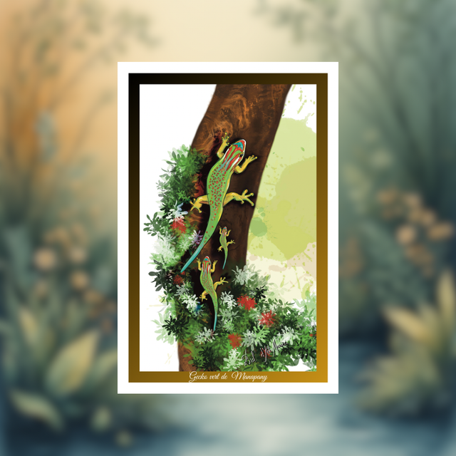 Carte postale - Gecko de Manapany