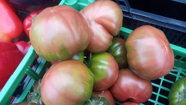 Tomate Negro de Santiago