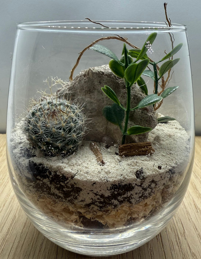 Bowo® GUADELOUPE connecté Home 