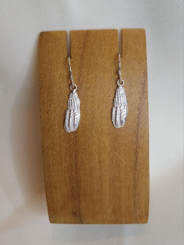 Whelk shell sliver earrings
