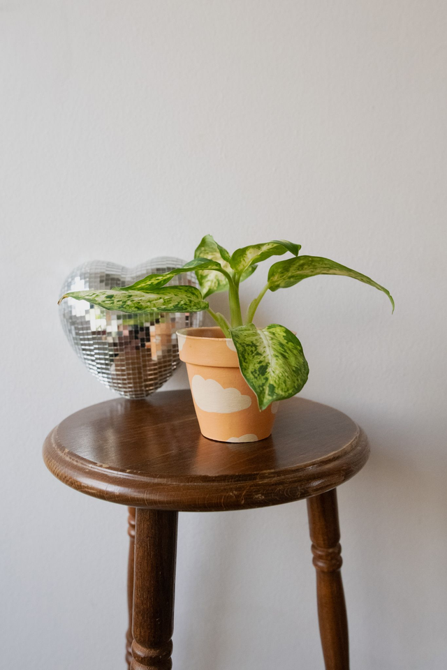 Pot handmade 'Vitamin Sky' 🧩 Mix & Match