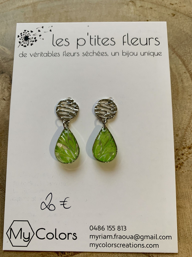 Persil : boucles d'oreilles clous