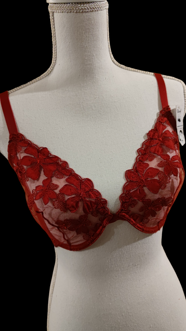 Soutien-gorge rouge en dentelle 70D (Wired)