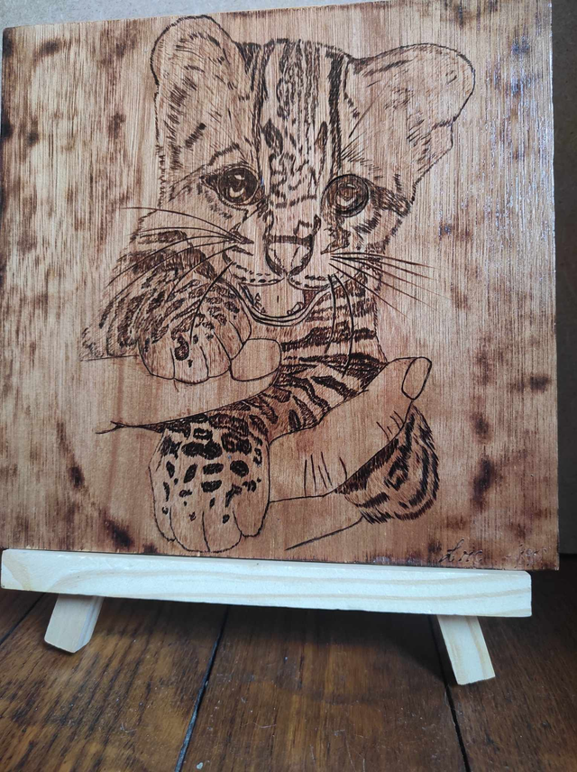 Cadre pyrogravure bébé tigre