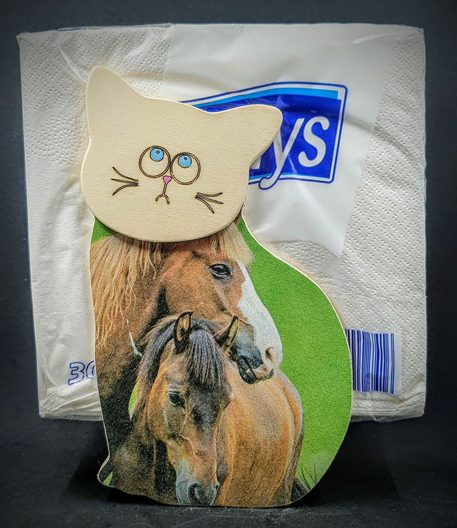 distributeur de serviettes