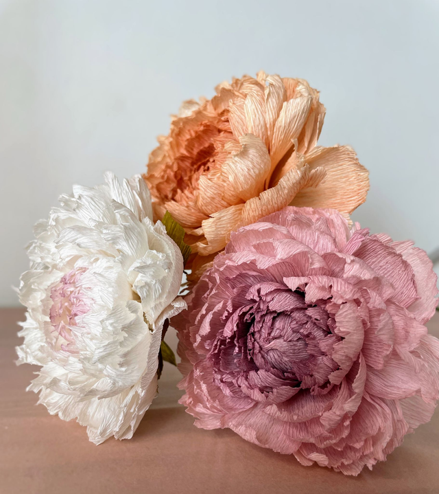 Pivoine "Almaé" avec son vase artisanal offert